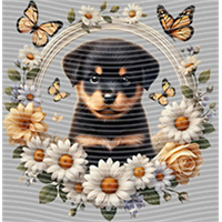 Animal Integration-DW 503